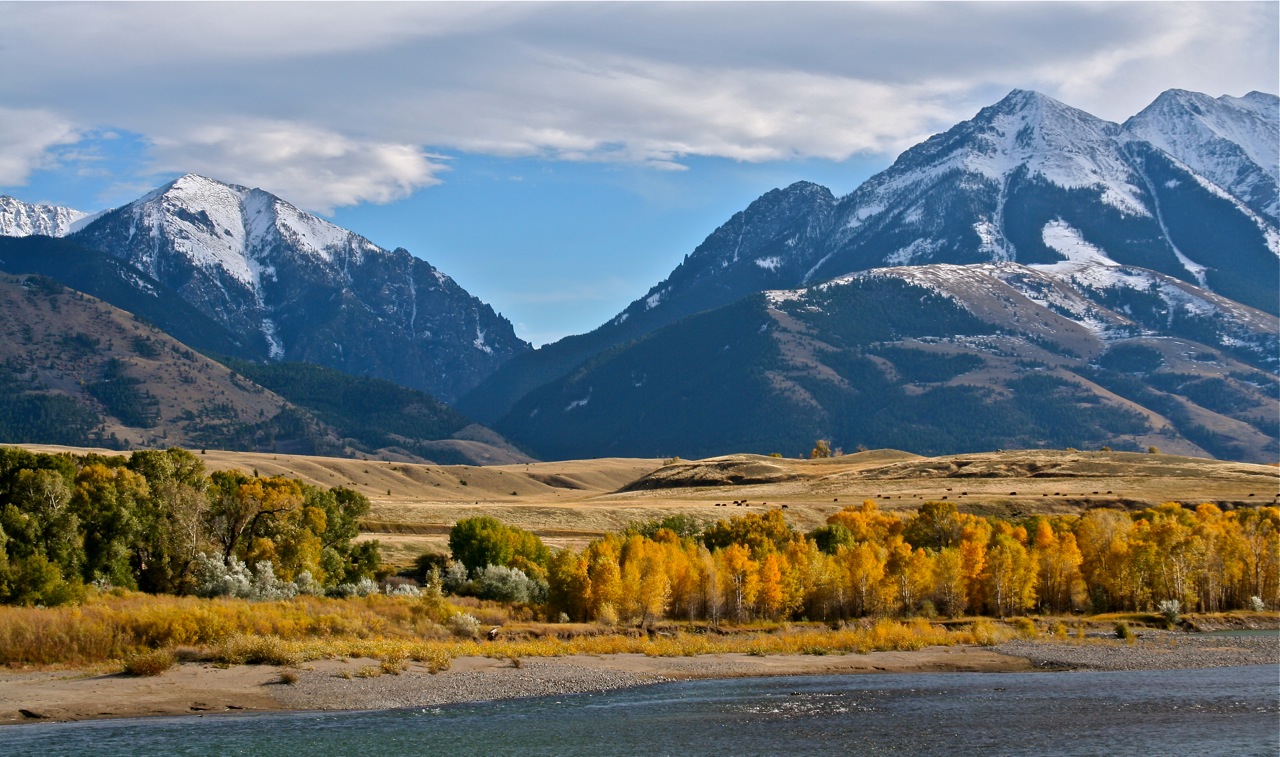 Yellowstone County Commercial Roofing